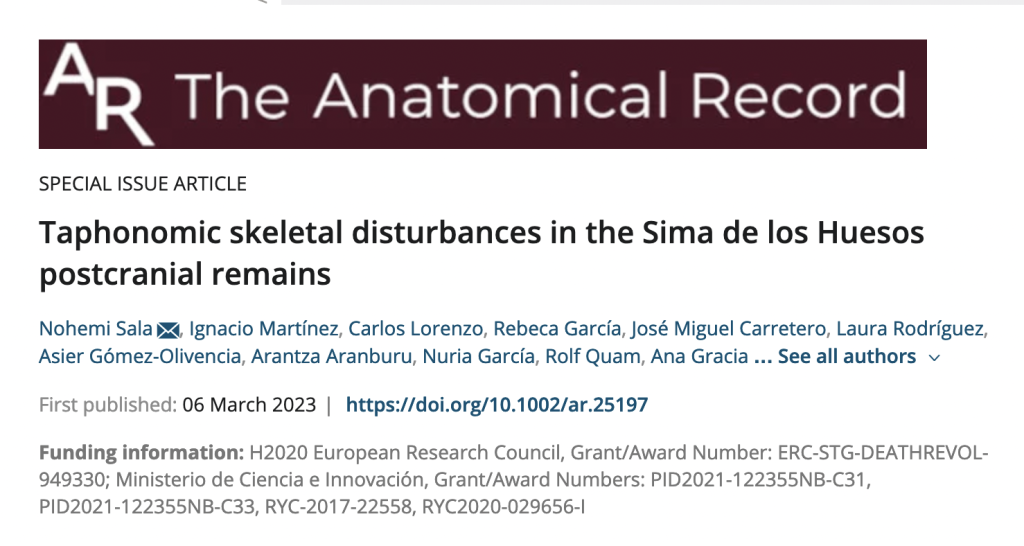 Tafonomic skeletal disturbaces in Sima de los Huesos remains