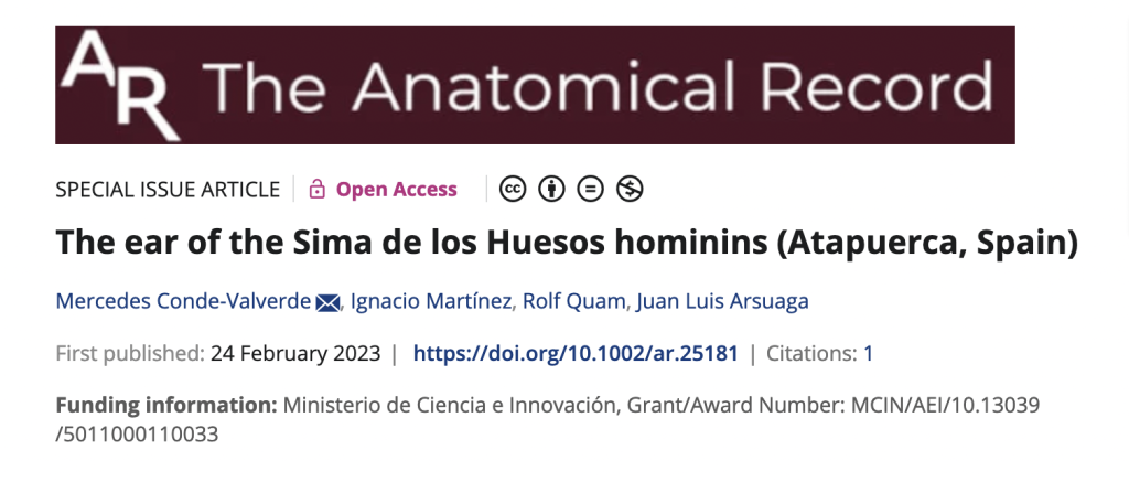 The ear of the Sima de los Huesos hominin
